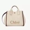 Chloé Carry Tote Bag aus Bastfasern Chloé Carry Tote Bag aus Bastfasern