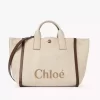 Chloé Carry Tote Bag aus Bastfasern Chloé Carry Tote Bag aus Bastfasern