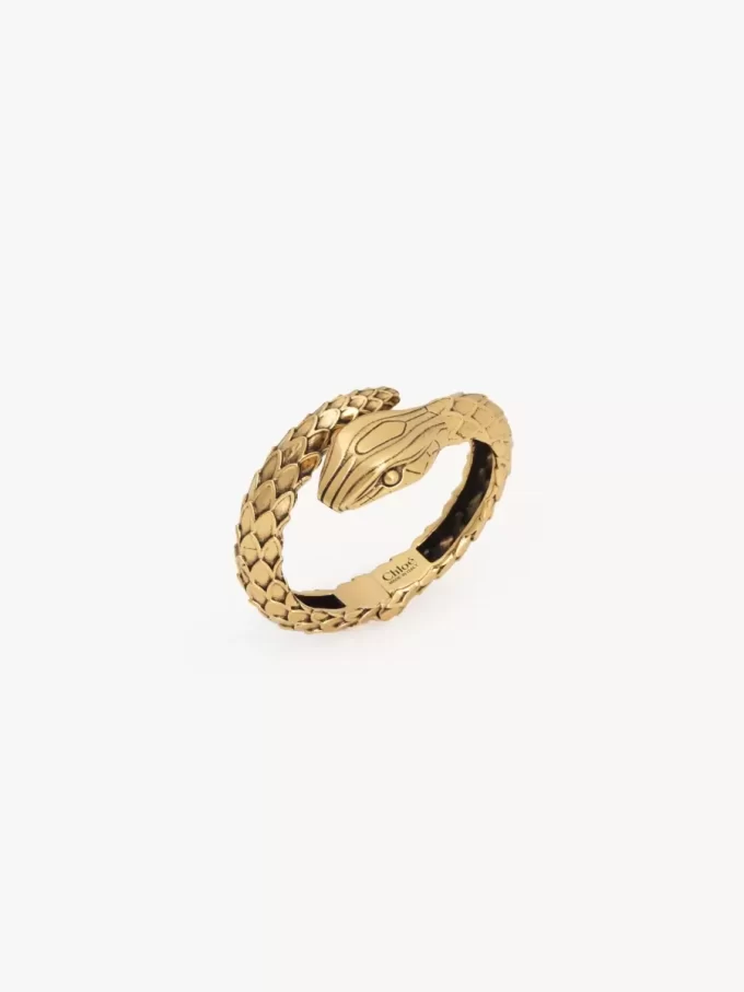 Das Chloé Snake Armband Das Chloé Snake Armband