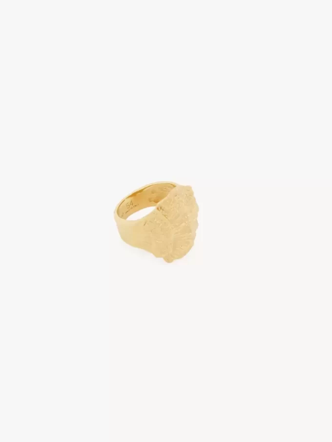 Der Chloé Shells Ring Der Chloé Shells Ring