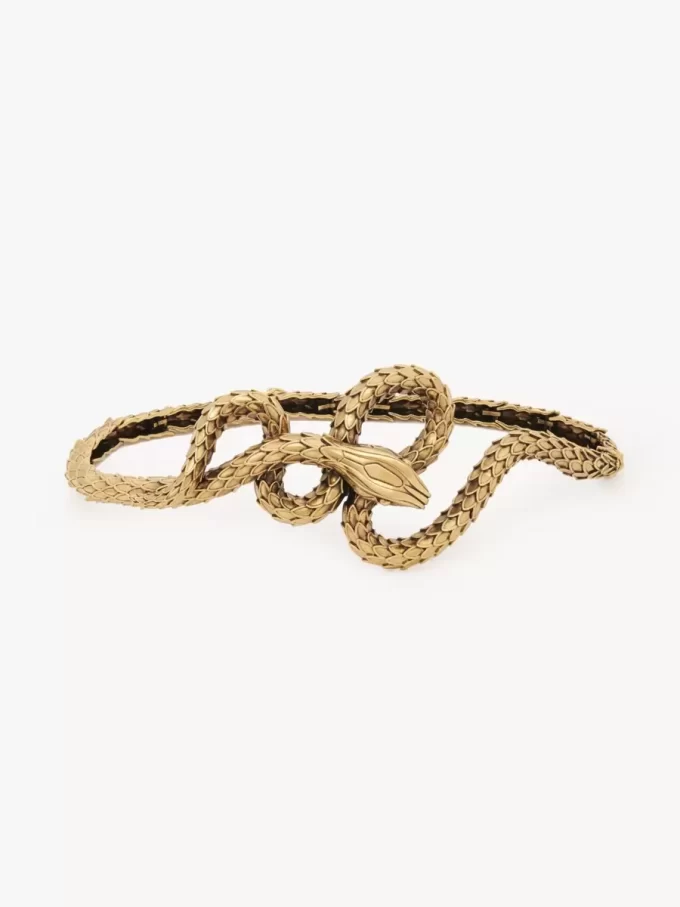 Der Chloé Snake Gürtel