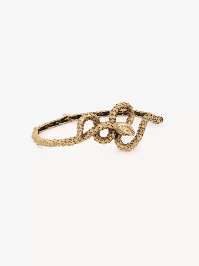 Der Chloé Snake Gürtel