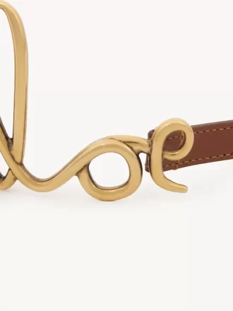Der kleine Chloé Iconic Gürtel