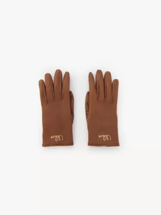 Die Chloé Iconic Handschuhe aus Leder