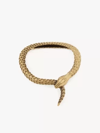 Die Chloé Snake Halskette