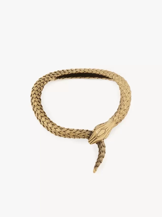 Die Chloé Snake Halskette Die Chloé Snake Halskette