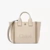 Kleine Chloé Carry-Einkaufstasche aus Canvas Kleine Chloé Carry-Einkaufstasche aus Canvas