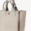 Kleine Chloé Carry-Einkaufstasche aus Canvas Kleine Chloé Carry-Einkaufstasche aus Canvas