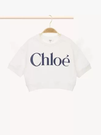 Logo-Pullover