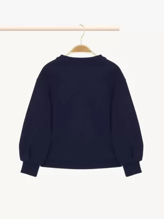 Logo-Pullover